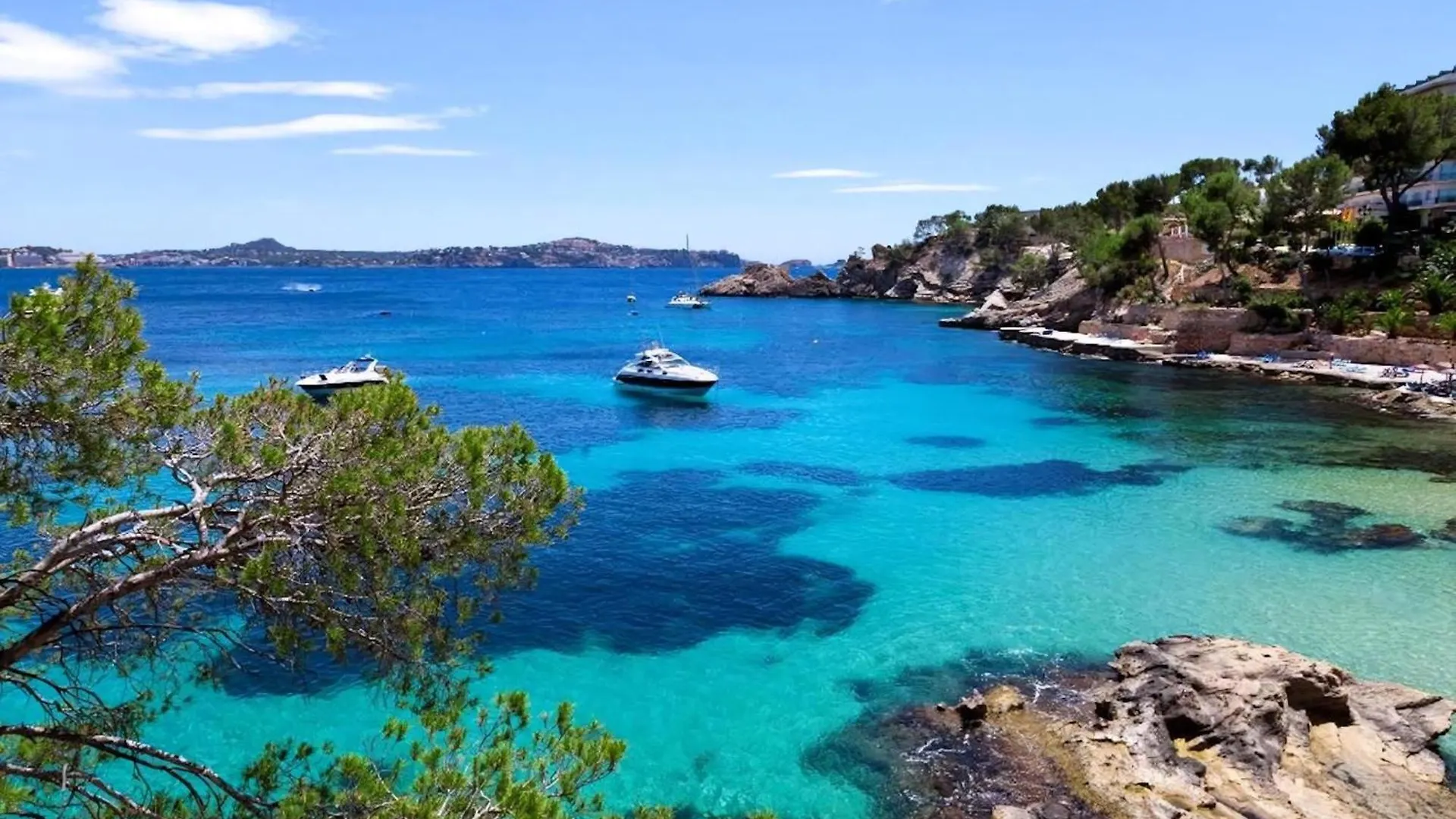 Villa Alexandria Cala Sant Vicenc Cala San Vicente  Cala San Vicente (Mallorca)